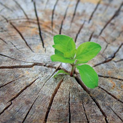 Bild zu MPG&E – nachhaltig für eine bessere Zukunft