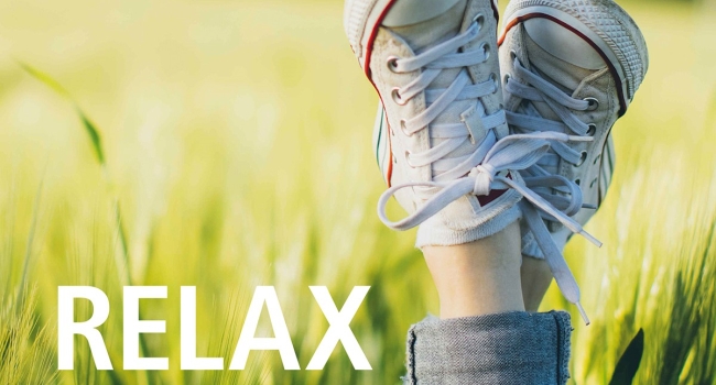 Social-Media-Vorlage herunterladen